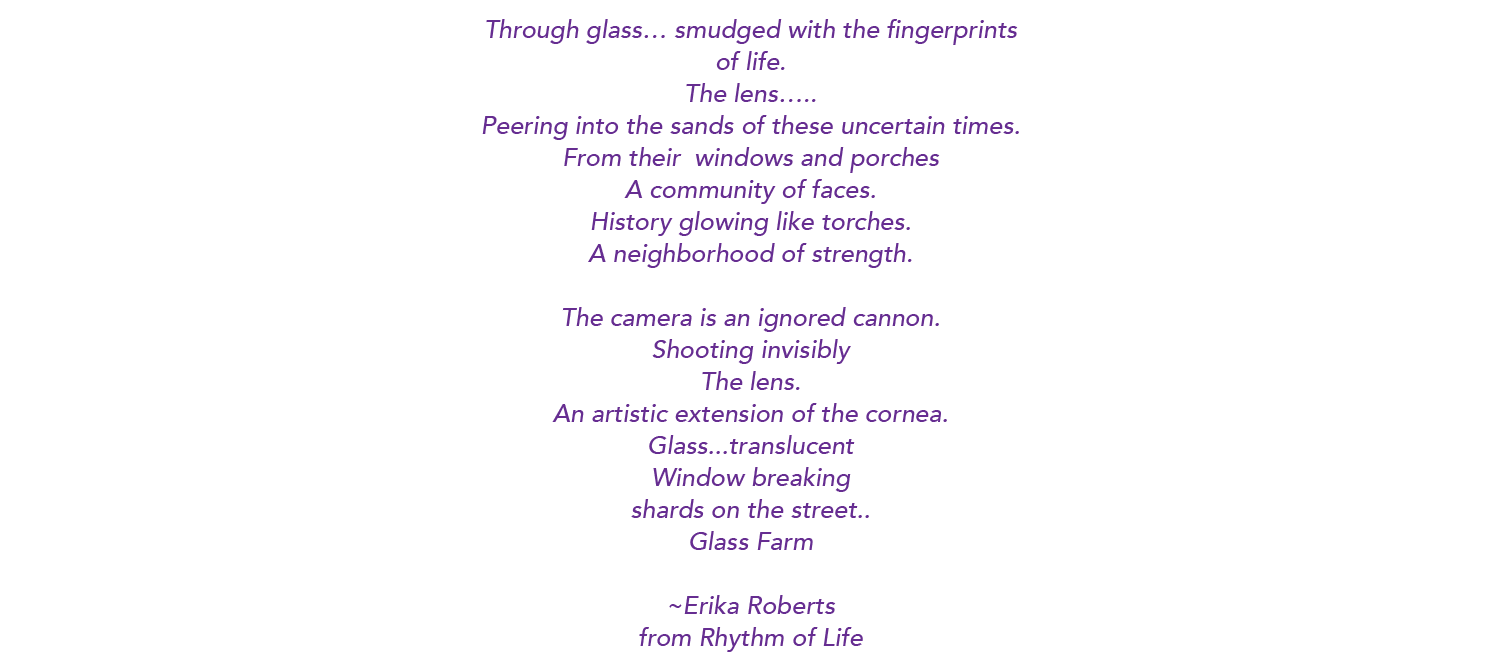 The Rhythm of Life by Erika Roberts